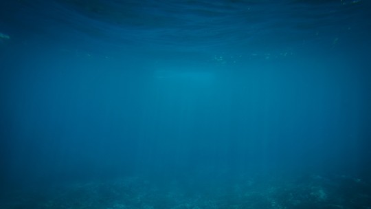 Por que o oceano está ficando mais escuro? - Estudos mostram que um quinto do oceano global está mais escuro hoje do que duas décadas atrás.