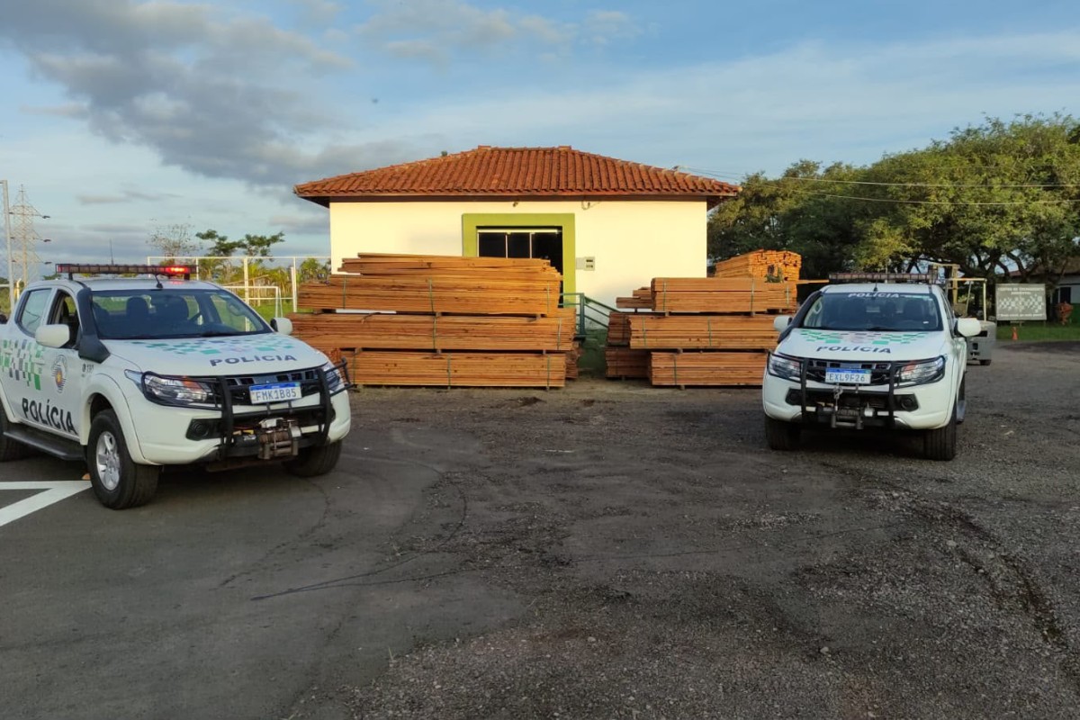 Motorista e empresa são multados em mais de R$ 32 mil por transportar madeira nativa sem documentação no interior de SP