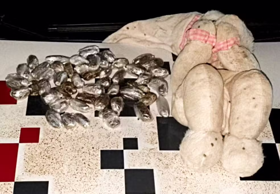 Crianças encontram urso de pelúcia 'recheado' com maconha em Dracena (SP) — Foto: Divulgação/Polícia Militar