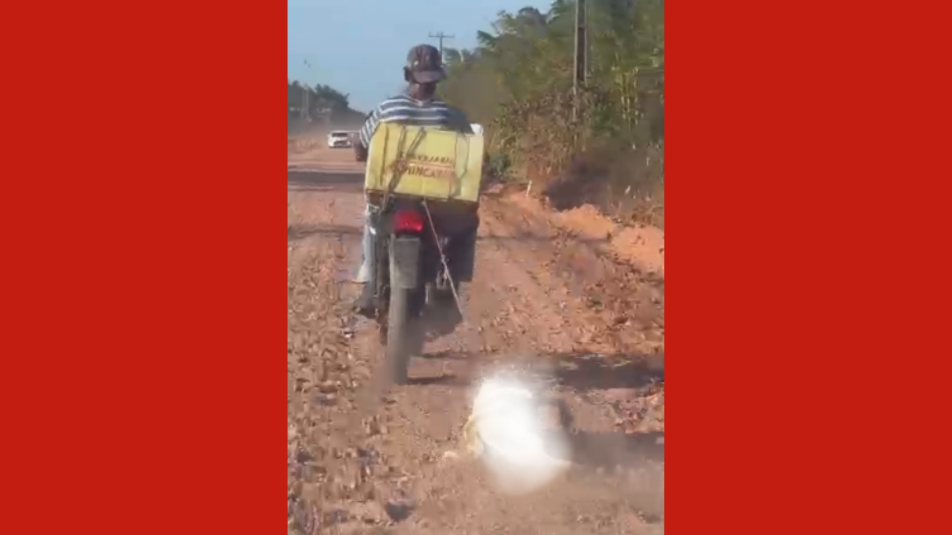 Polícia investiga homem que arrastou cão amarrado a moto no Pará