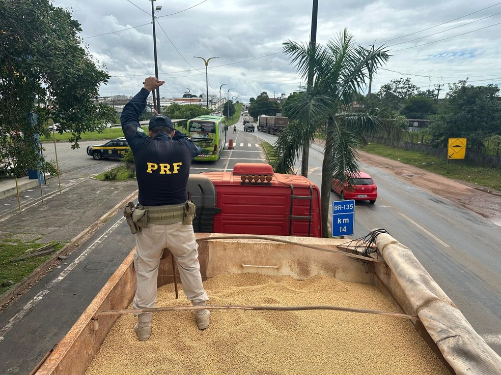 PRF apreende 29 tabletes de cloridrato de cocaína escondidos em carga de soja, na BR-135, em São Luís — Foto: Divulgação/PRF-MA