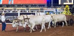 Show de abertura na 4º noite da Festa do Peão de Americana