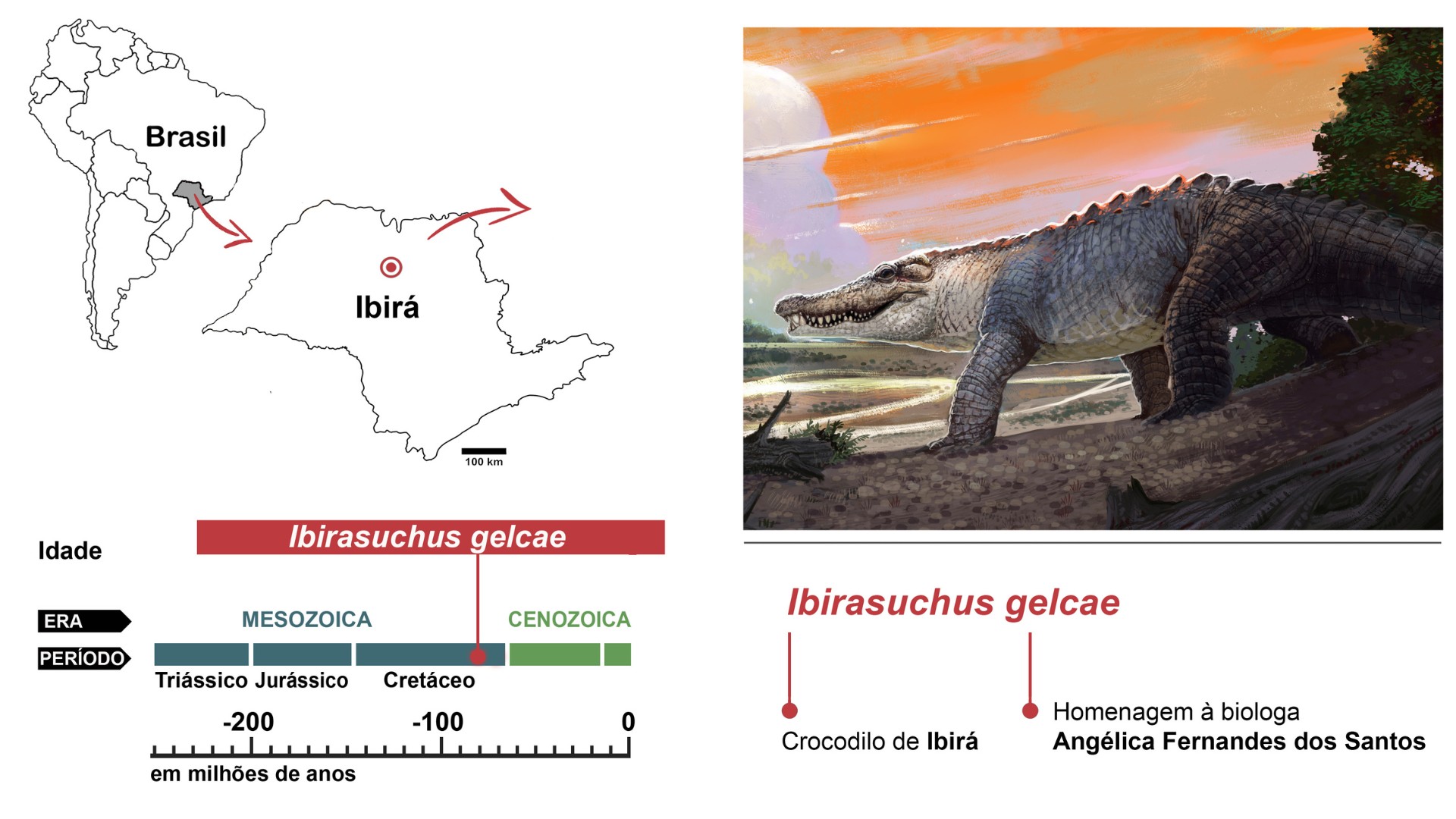 Quatro tipos de crocodilos conviveram no interior de SP há 85 milhões de anos, revela estudo