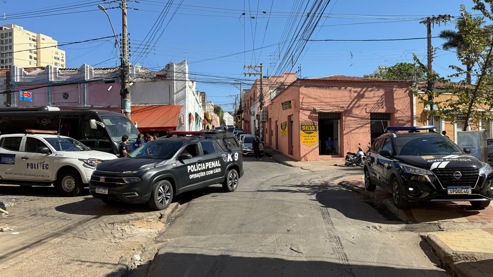 Cerca de 60 policiais civis atuaram no cumprimento dos mandados, com apoio de cães farejadores da Polícia Penal. — Foto: Reprodução