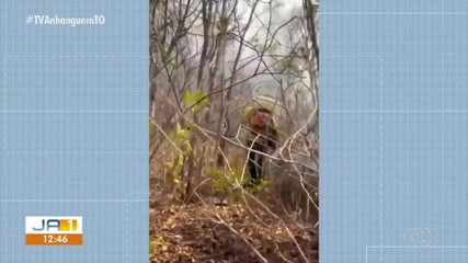 Brigadistas atuam no combate a incêndio na Ilha de Bananal