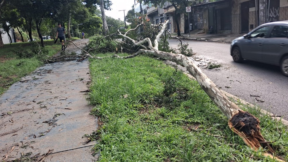 Temporal causa estragos e deixa uma vítima em BH