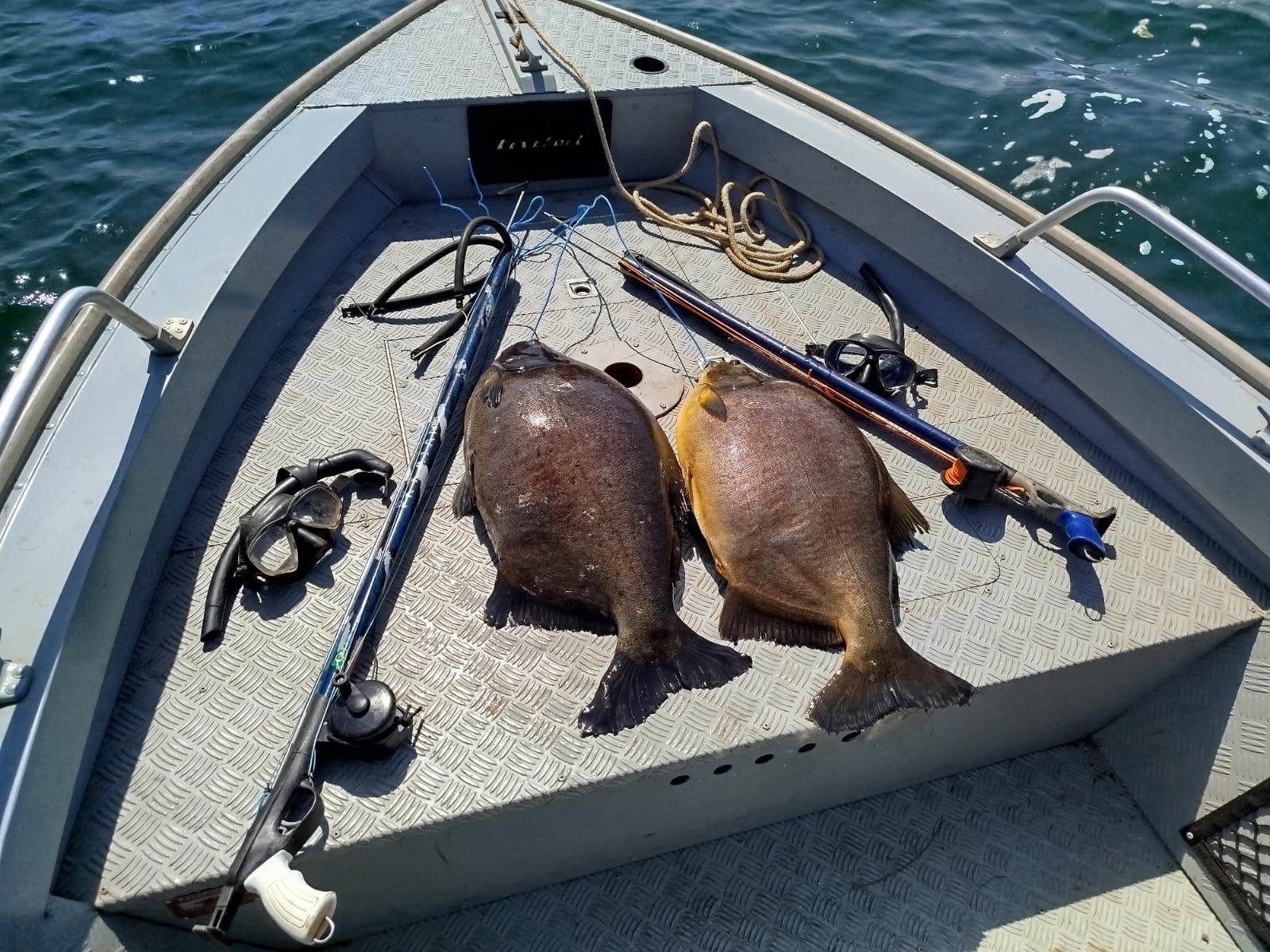 Homens flagrados em pesca de mergulho recebem multas de R$ 2,8 mil e ainda responderão por crime ambiental no Rio Paraná