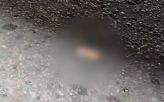 VÍDEO: Motorista perde dedo após abrir porta de carro e ser atingido por ônibus em Manaus