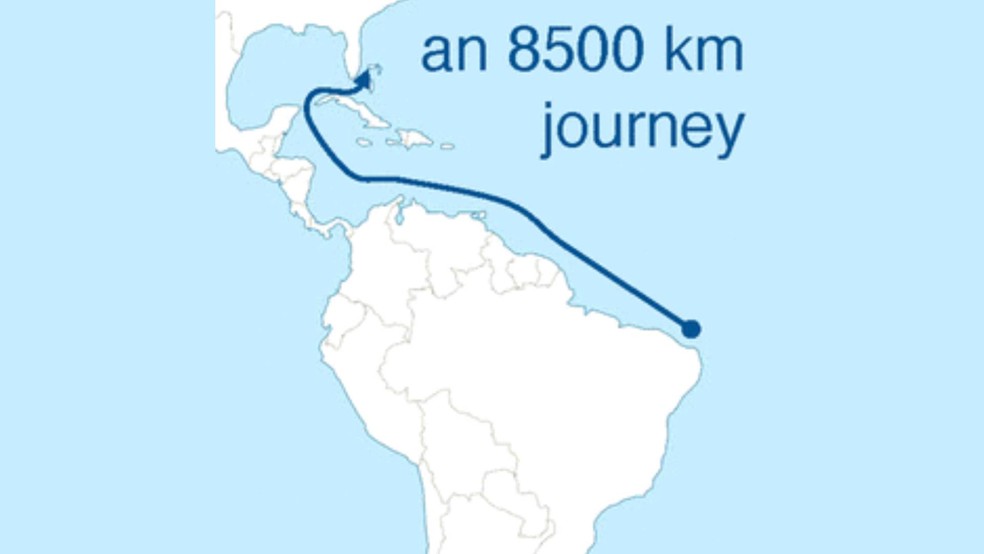 Possível trajetória do lixo marinho contaminado por óleo que chegou à costa dos EUA a partir do Brasil — Foto: Divulgação/Labomar