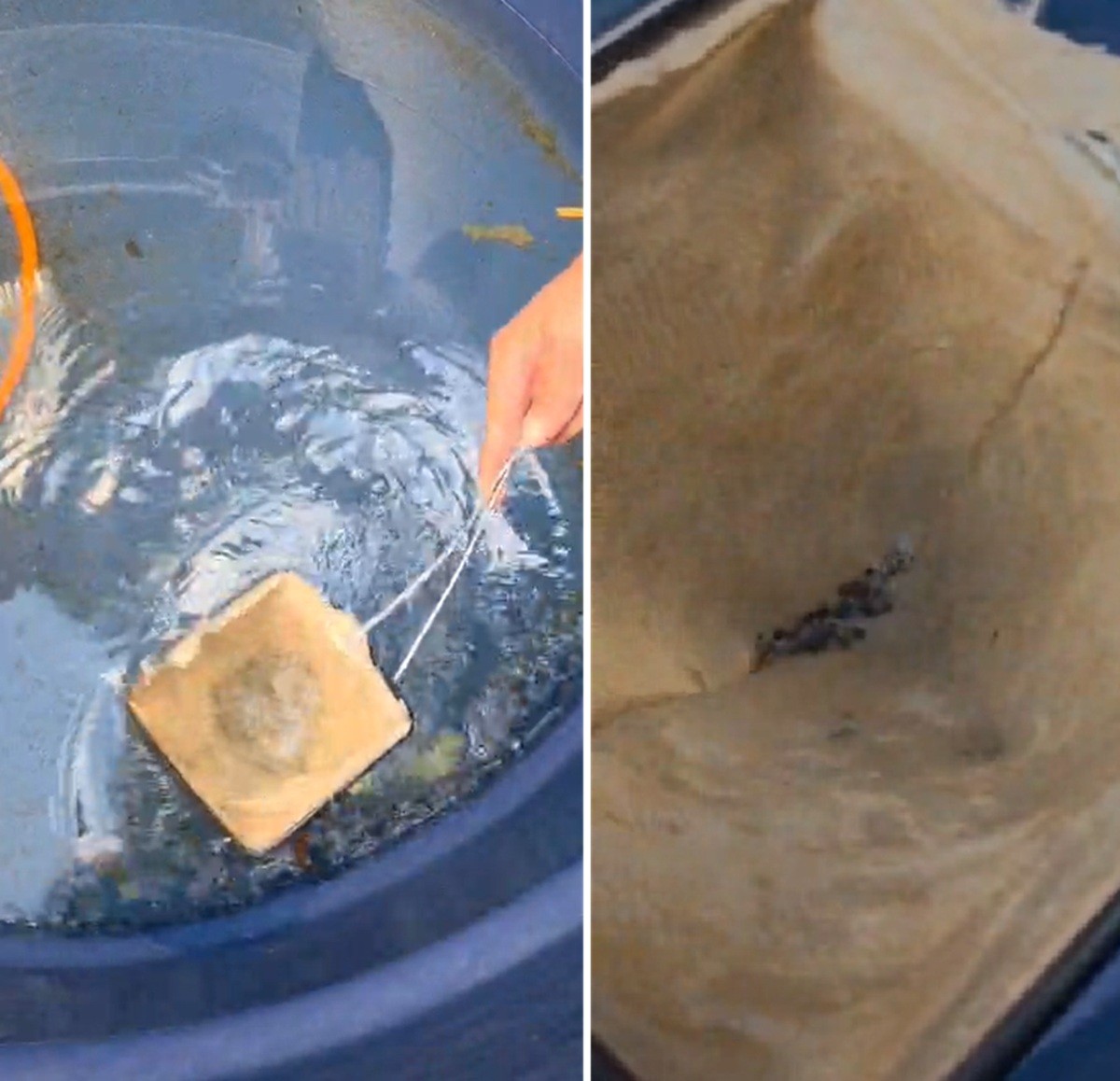 Casos de dengue aumentam 330% em Miracema; prefeitura prepara arrastão de limpeza em bairros mais afetados