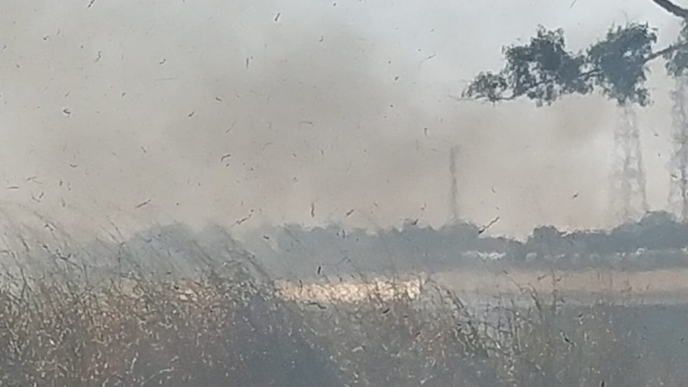 Corpo de Bombeiros registra aumento de 11,5% em ocorrências de incêndio em vegetações na região de Presidente Prudente (SP) — Foto: Defesa Civil