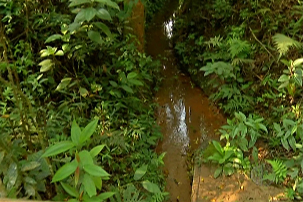 Parque Nascentes Do Tietê é Reaberto Em Salesópolis Mogi Das Cruzes E Suzano G1 2495