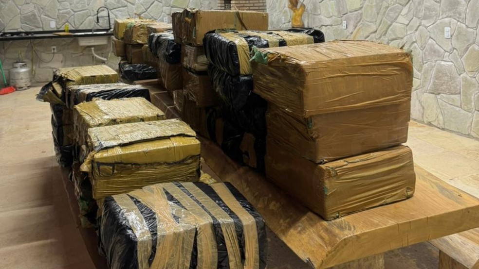 Investigação da Polícia Civil levou a apreensão de 1,4 tonelada de maconha em Pindoretama. — Foto: Polícia Civil/ Divulgação