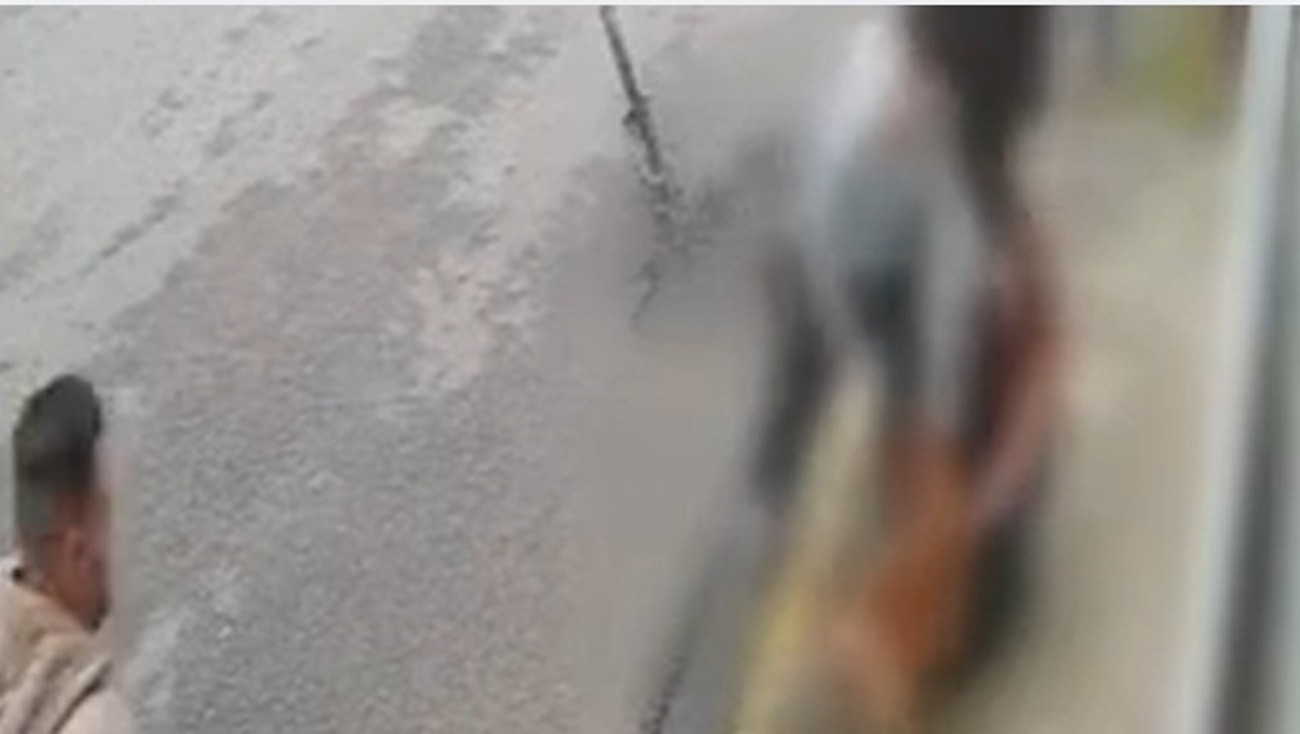 Vídeo mostra desespero de jovem atacada por pitbull na rua e