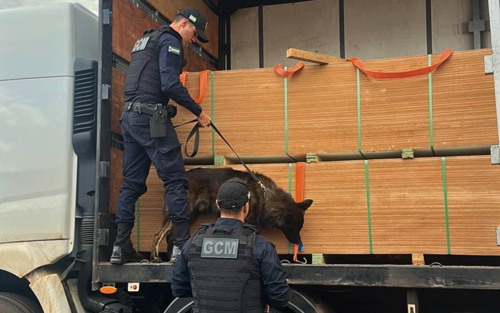 Cão encontra cerca de 7,5 toneladas de droga dentro de falsas chapas de MDF na BR-060; vídeo  