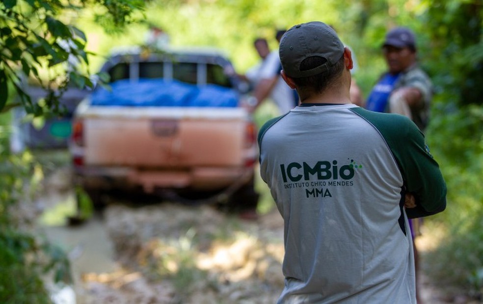 Seleção para o ICMBio vai preencher oportunidades para Analista Administrativo e Analista Ambiental. — Foto: Bruno Bimbato/Divulgação
