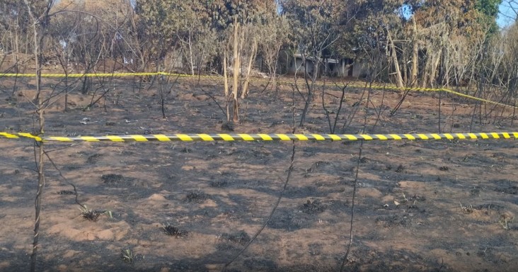 Polícia tenta identificar ossada humana encontrada em mata atingida por incêndio, em Cianorte 