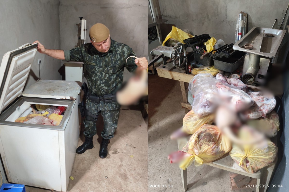 Polícia apreende mais de 40 quilos de carne de capivara, tatu-galinha e couros de jacaré no interior de SP