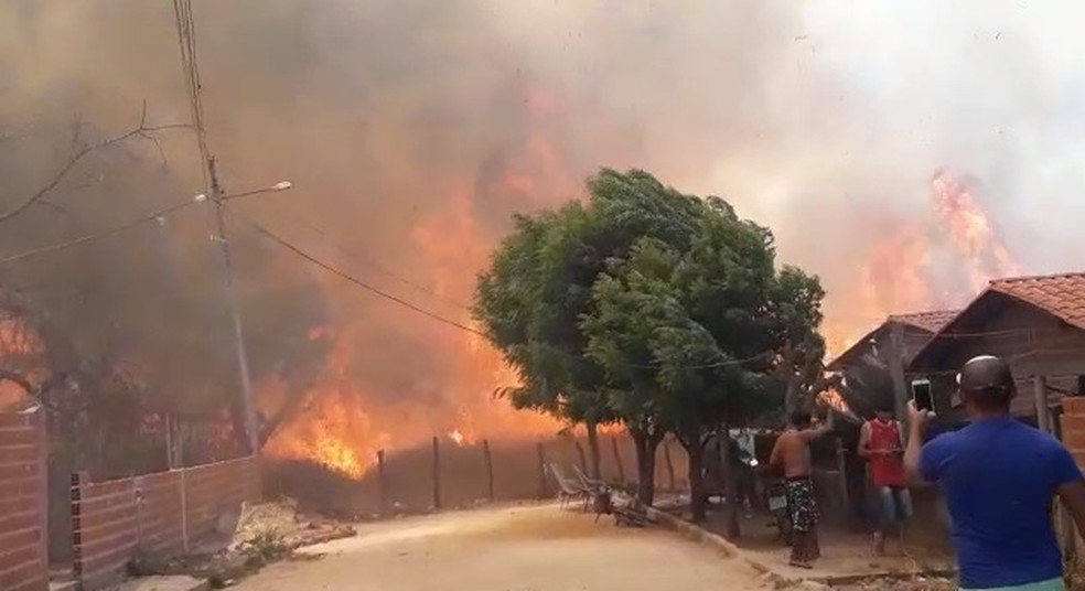 Inpe registra quase 500 focos de incêndio no território do Piauí nos 8 primeiros dias de agosto — Foto: Reprodução/TV Clube