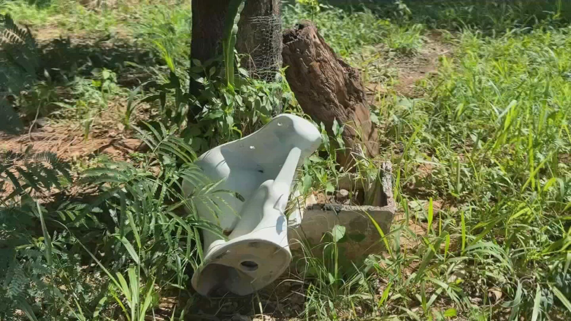 Lixo, entulho e até privada: Áreas de Preservação Permanente sofrem com descarte irregular e ocupação sem controle em Presidente Prudente