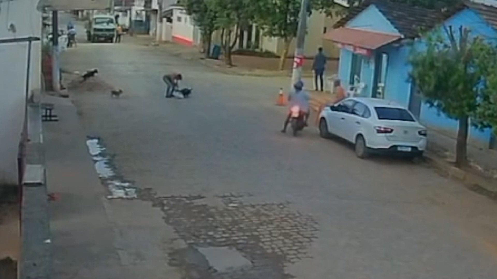 VÍDEO: homem espanca cachorro até a morte no meio da rua no ES