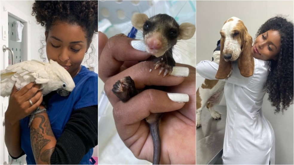De Campo Grande, participante do BBB é veterinária — Foto: Redes sociais