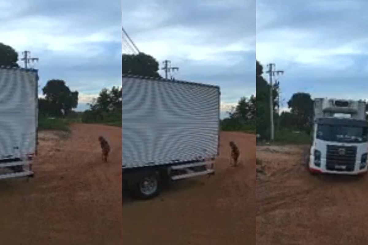 Mulher de 104 anos morre atropelada por caminhão em MT; vídeo