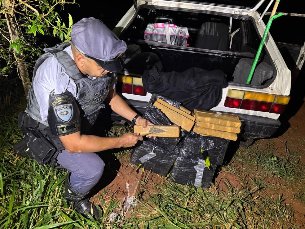Polícia Rodoviária apreende mais de 50kg de maconha, em Martinópolis (SP) — Foto: Polícia Rodoviária
