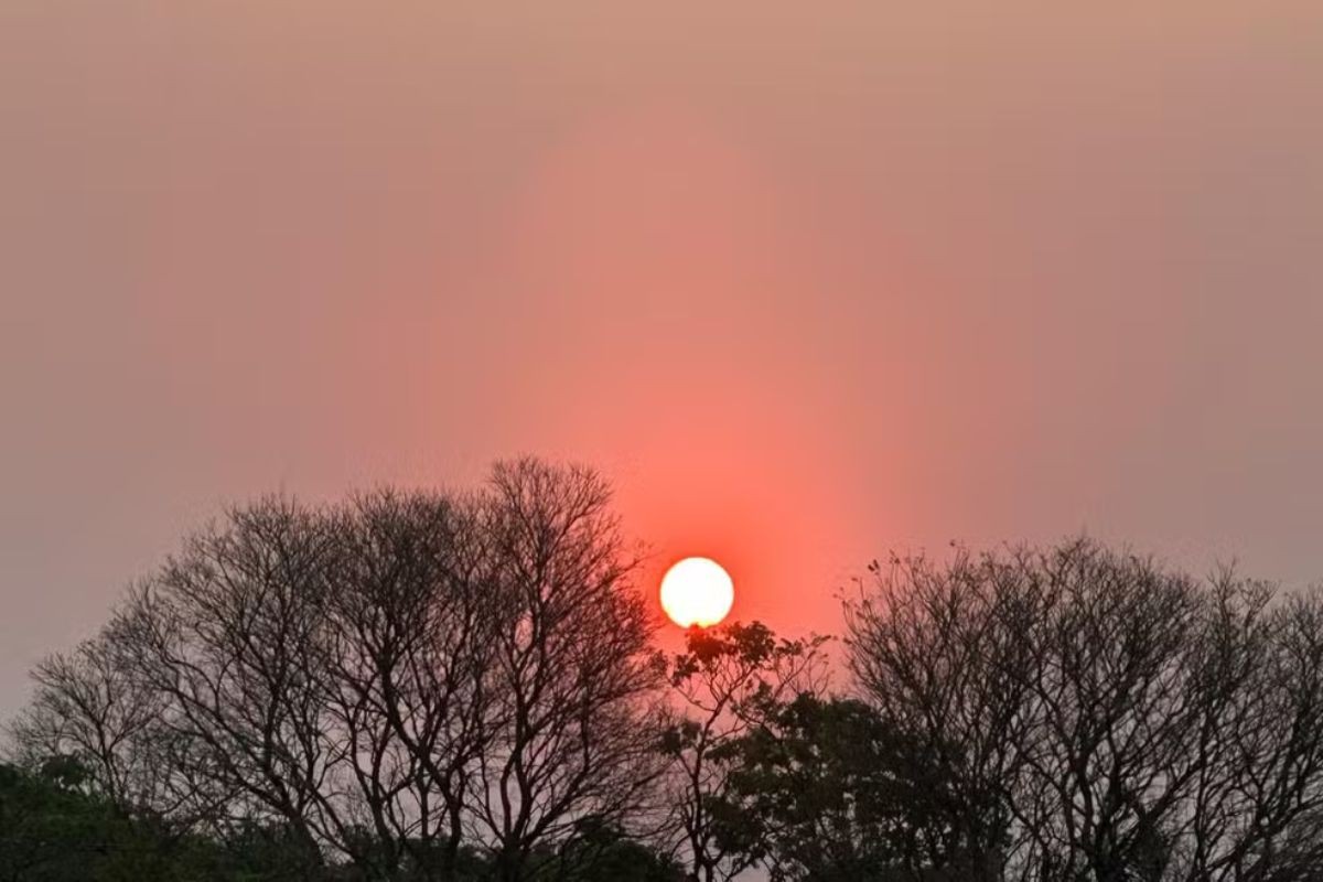 De fumaça à clima de deserto: drone registra mudança climática em Campo Grande entre 2024 e 2025