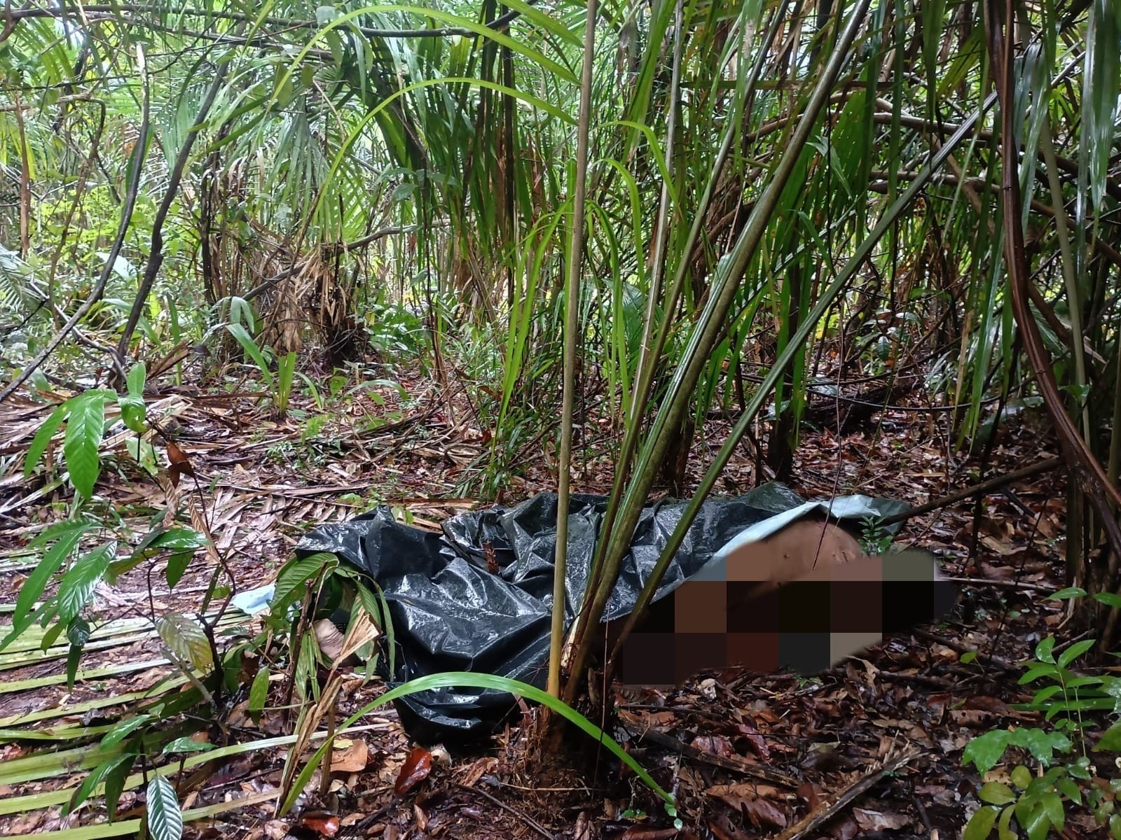 Você Não Tá Convidada pro Meu Bat Mitzvá!