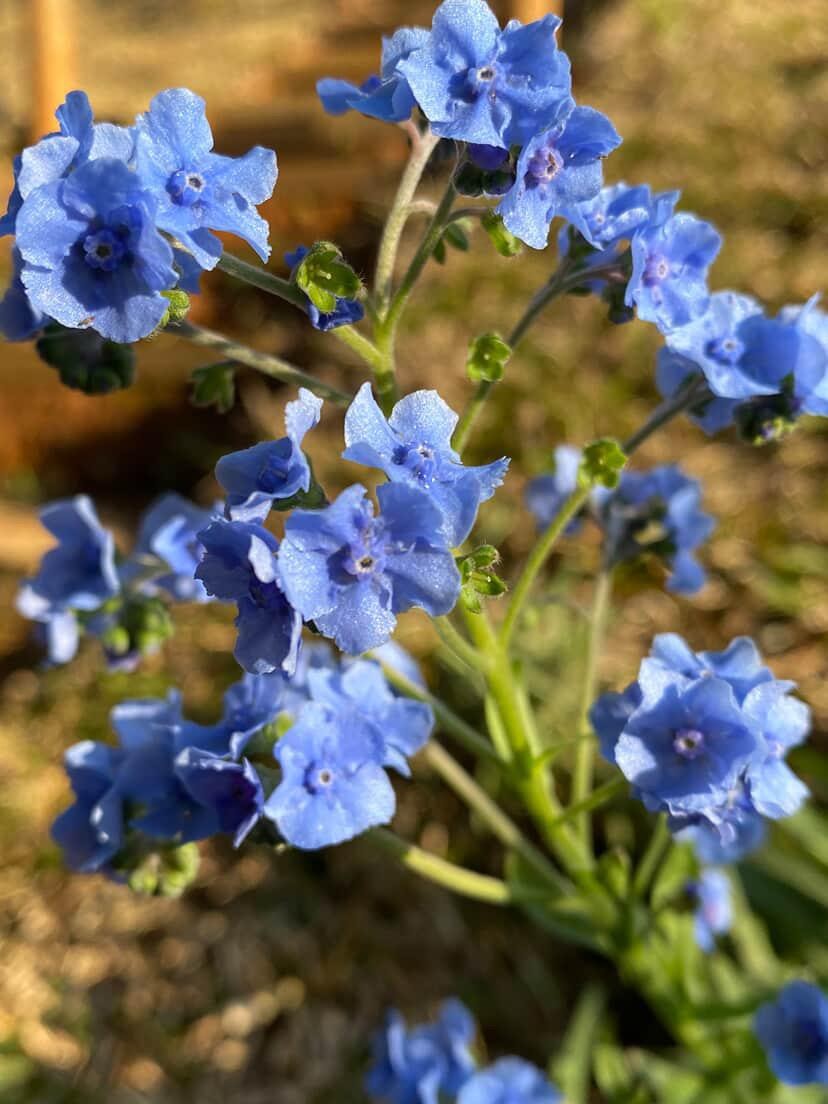 Você Não Tá Convidada pro Meu Bat Mitzvá!