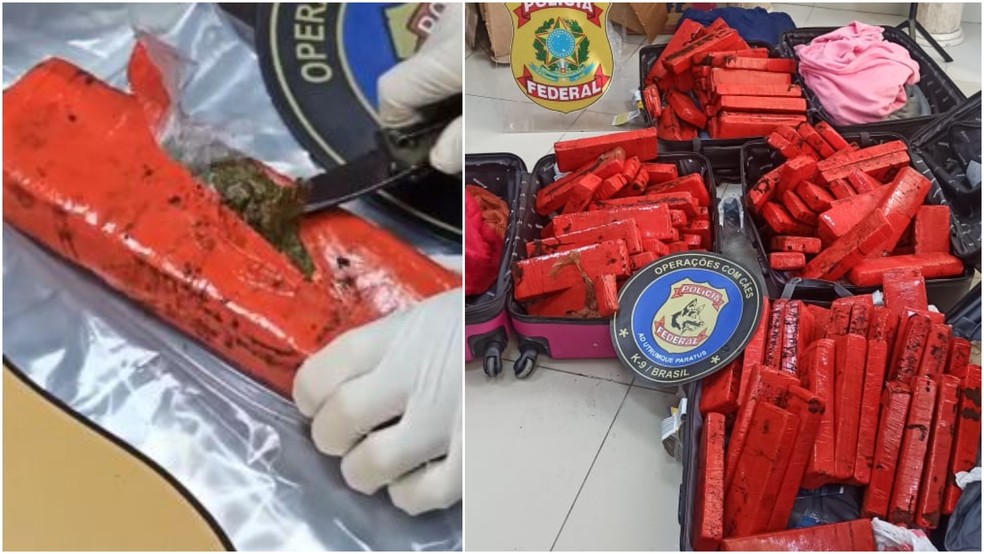 Polícia Federal apreende 132 tabletes de maconha e prende duas passageiras no Aeroporto Internacional de Fortaleza. — Foto: Polícia Federal/ Divulgação
