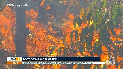 Tocantins divulgação ações para combate aos incêndios no período de estiagem