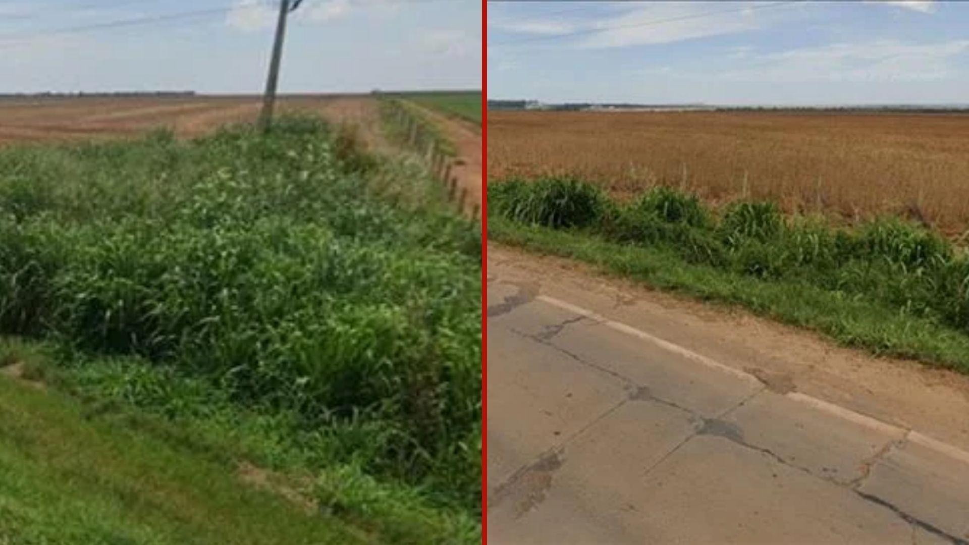 Fazenda de 101 hectares vai a leilão em Primavera do Leste, MT