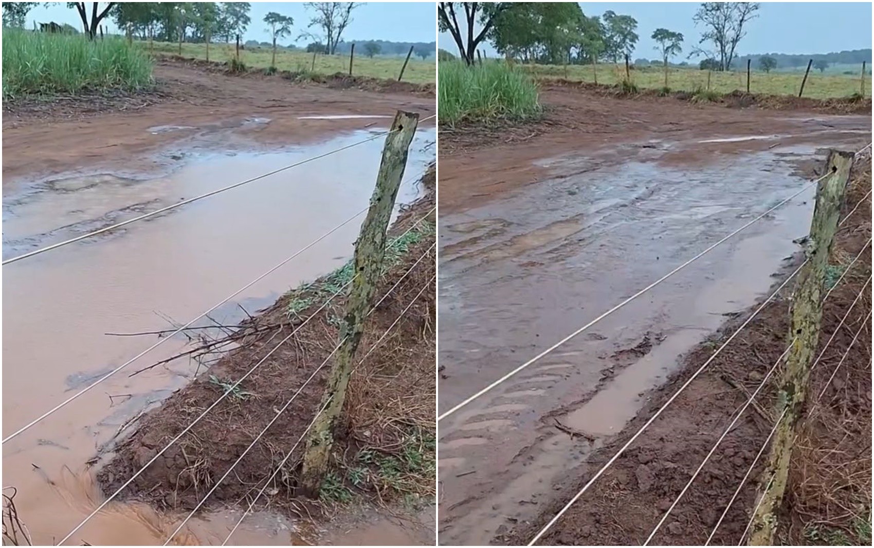 Carpinteiro viraliza com tutorial de como tirar alagamento de estrada: ‘Com uma mão só’