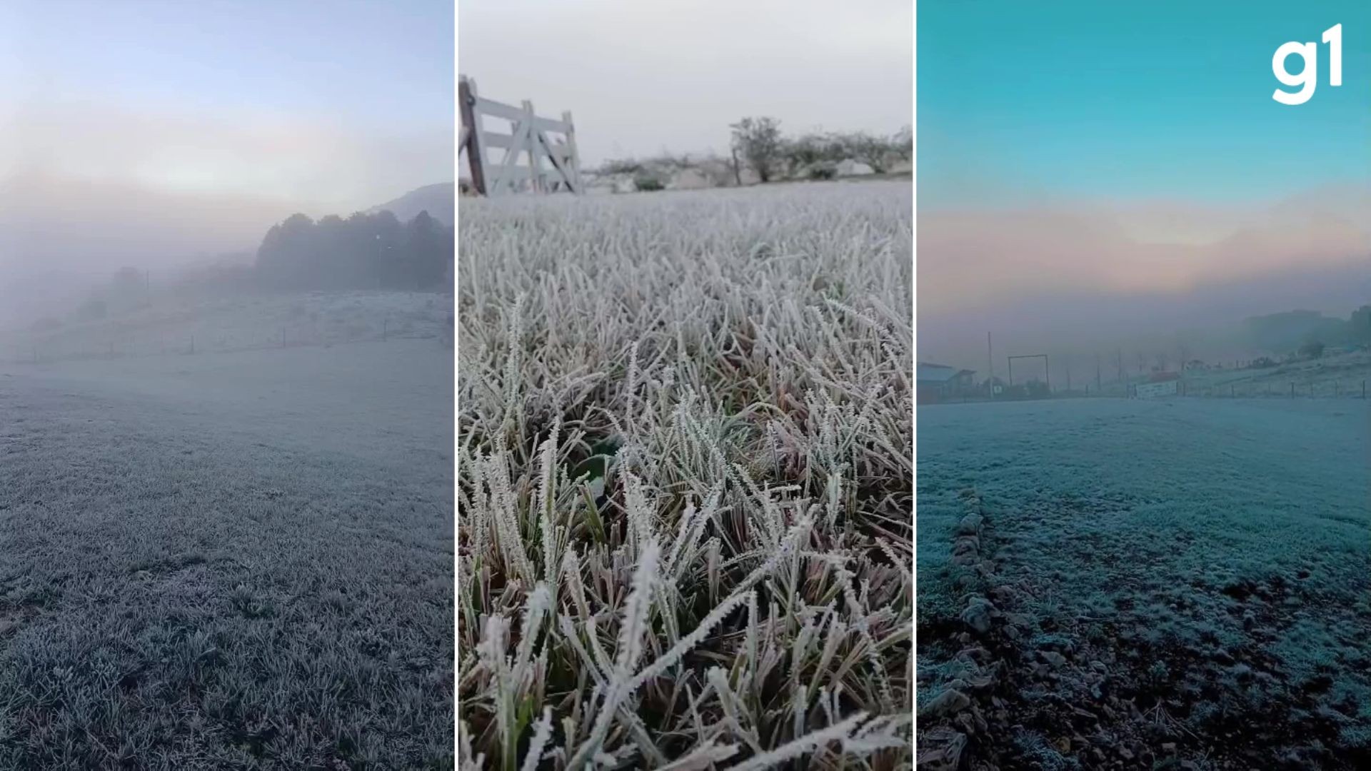 RS tem geada e -3,5°C de temperatura neste domingo