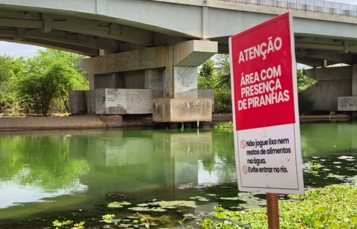 Cidade instala placas com alerta de piranhas em rio no interior do RN
