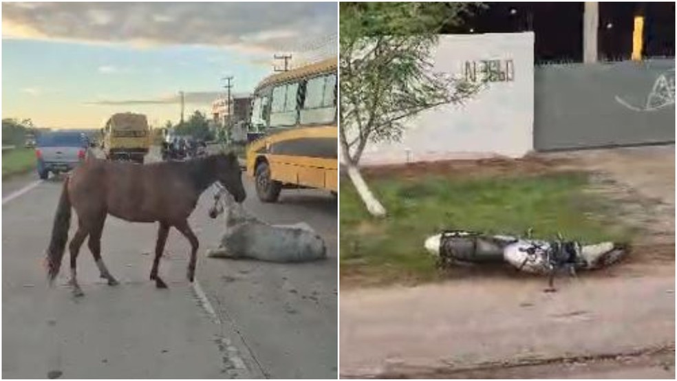 Motociclista morreu e passageira ficou ferida após colisão com cavalo solto na CE-010. — Foto: Reprodução