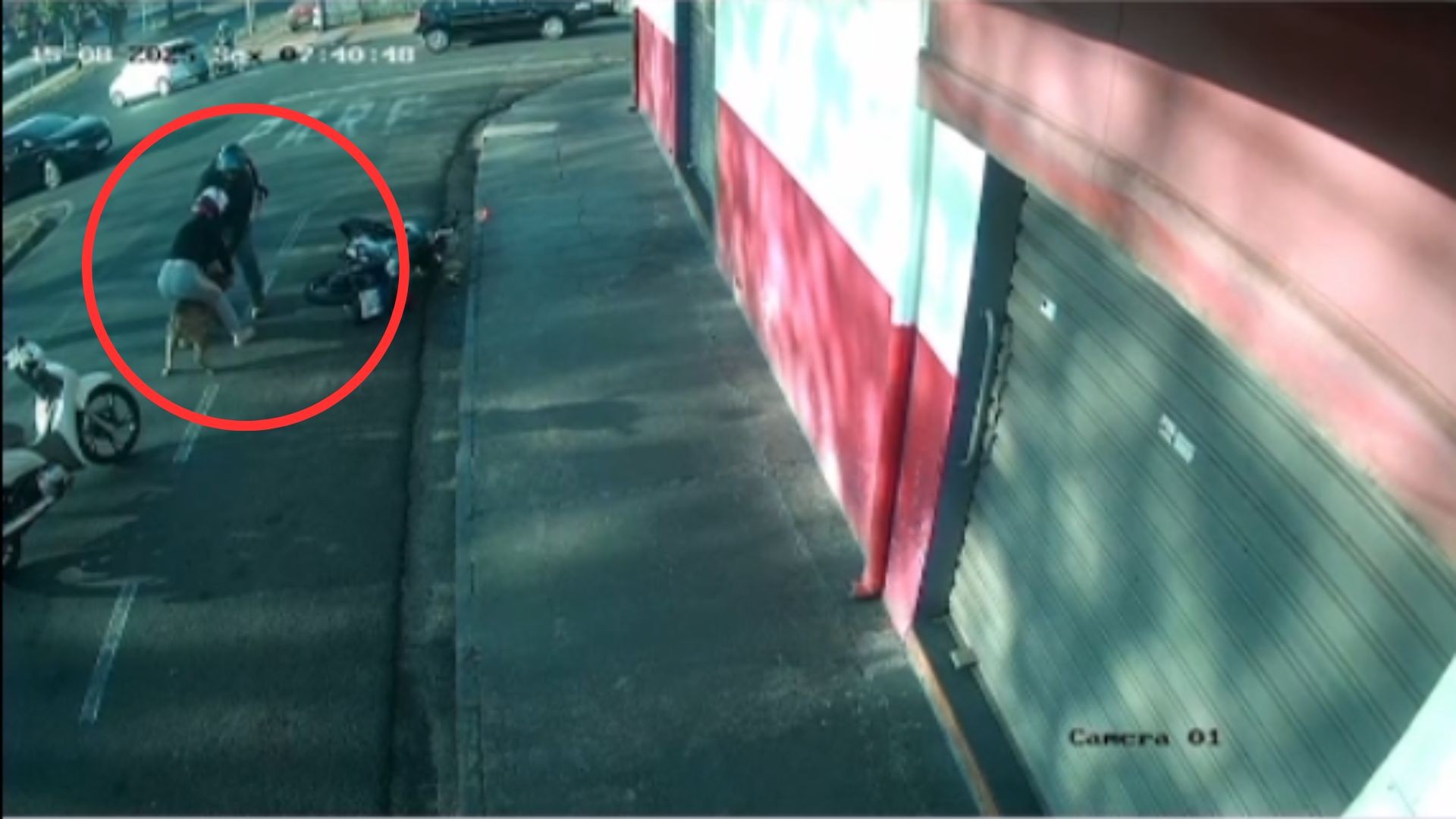 VÍDEO: pitbull escapa de casa e ataca três pessoas em Rio Preto