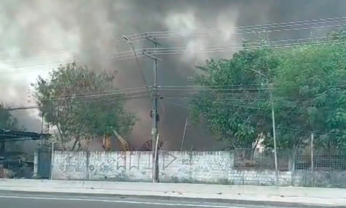 Incêndio atinge área de vegetação dentro de ferro-velho em Manaus
