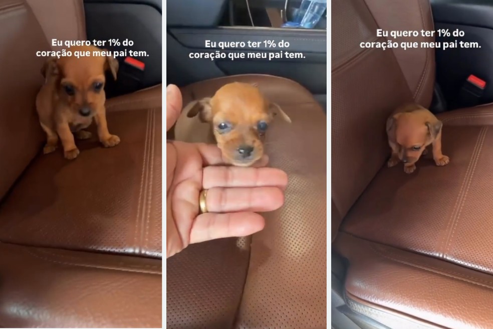 Rodrigo Castela enviou o vídeo para filha e ela postou em suas redes sociais. — Foto: Redes sociais