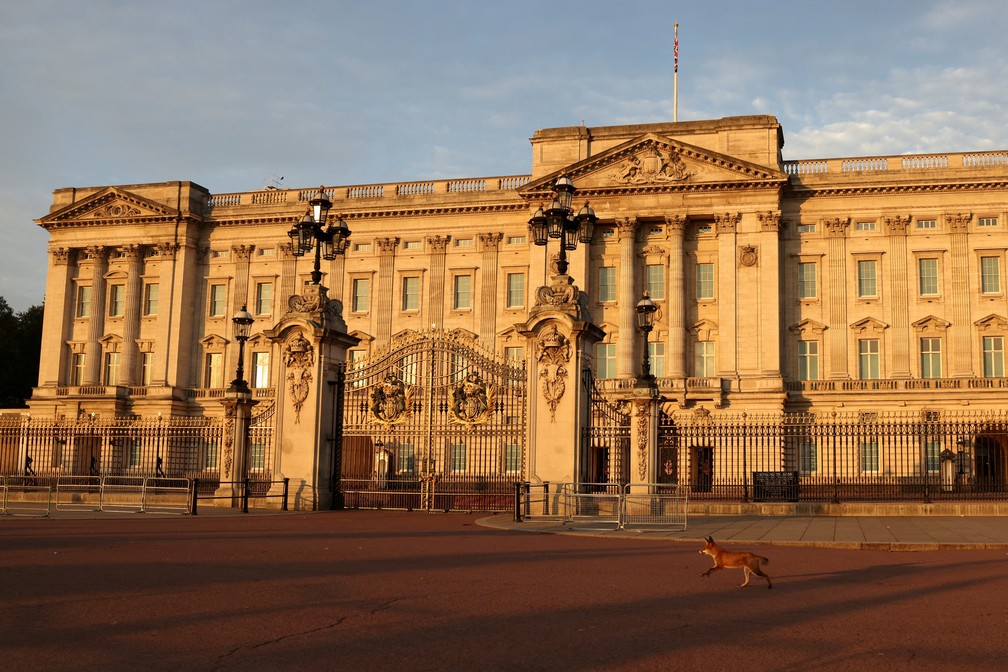 Uma raposa passa correndo pelo Palácio de Buckingham no primeiro aniversário da morte da Rainha Elizabeth II, em Londres, em foto de 8 de setembro de 2023. — Foto: REUTERS/Hollie Adams/File Photo