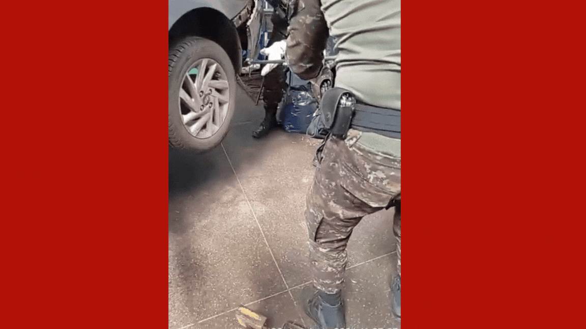 VÍDEO: jiboia é resgatada após ficar presa em para-choque de carro em Cuiabá