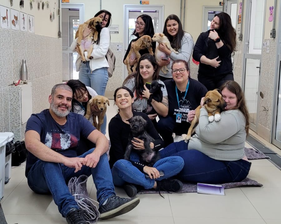 Empresa incentiva colaboradores e clientes a participarem do trabalho voluntário da causa animal