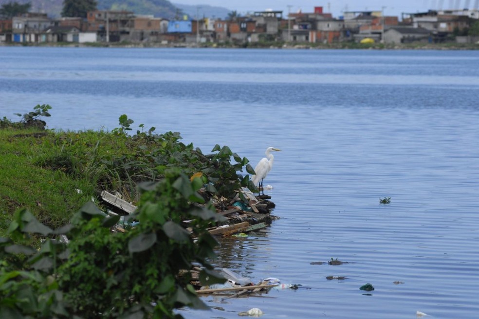 Caso aconteceu no Largo da Pompeba, em São Vicente (SP). — Foto: Arquivo/A Tribuna Jornal