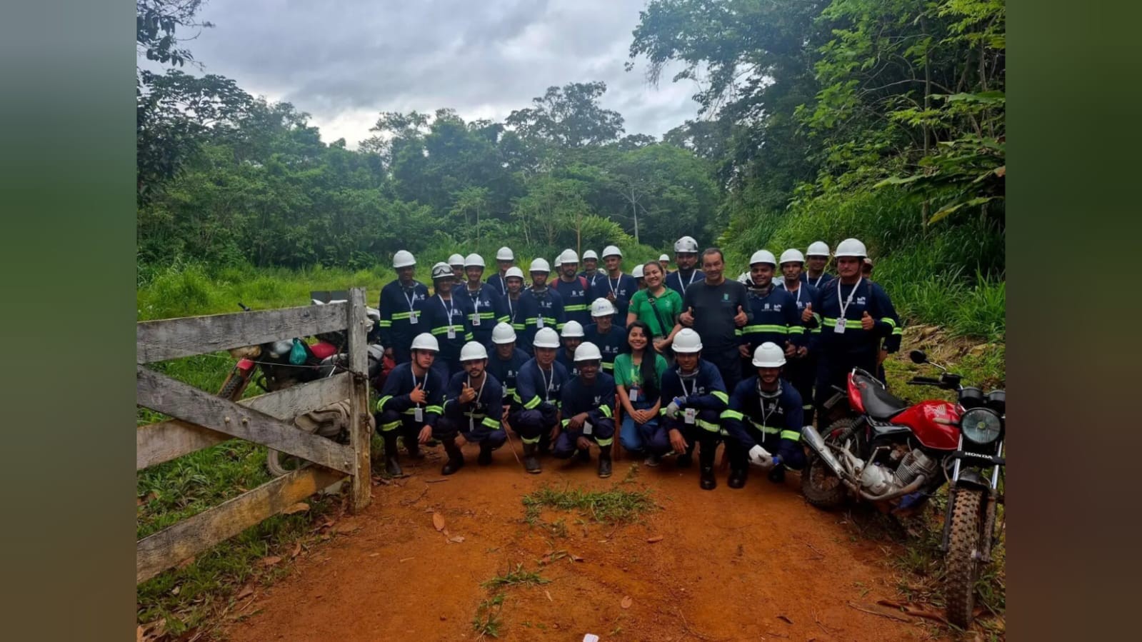 Safra da castanha-do-pará na Flota do Paru impulsiona renda e conservação no Baixo Amazonas