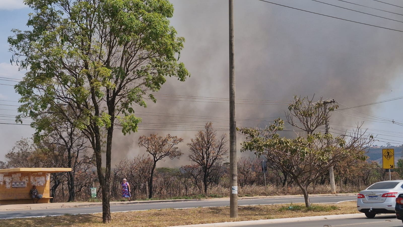 Fogo atinge vegetação de parque próxima ao asfalto em Sobradinho II, no DF; veja vídeo
