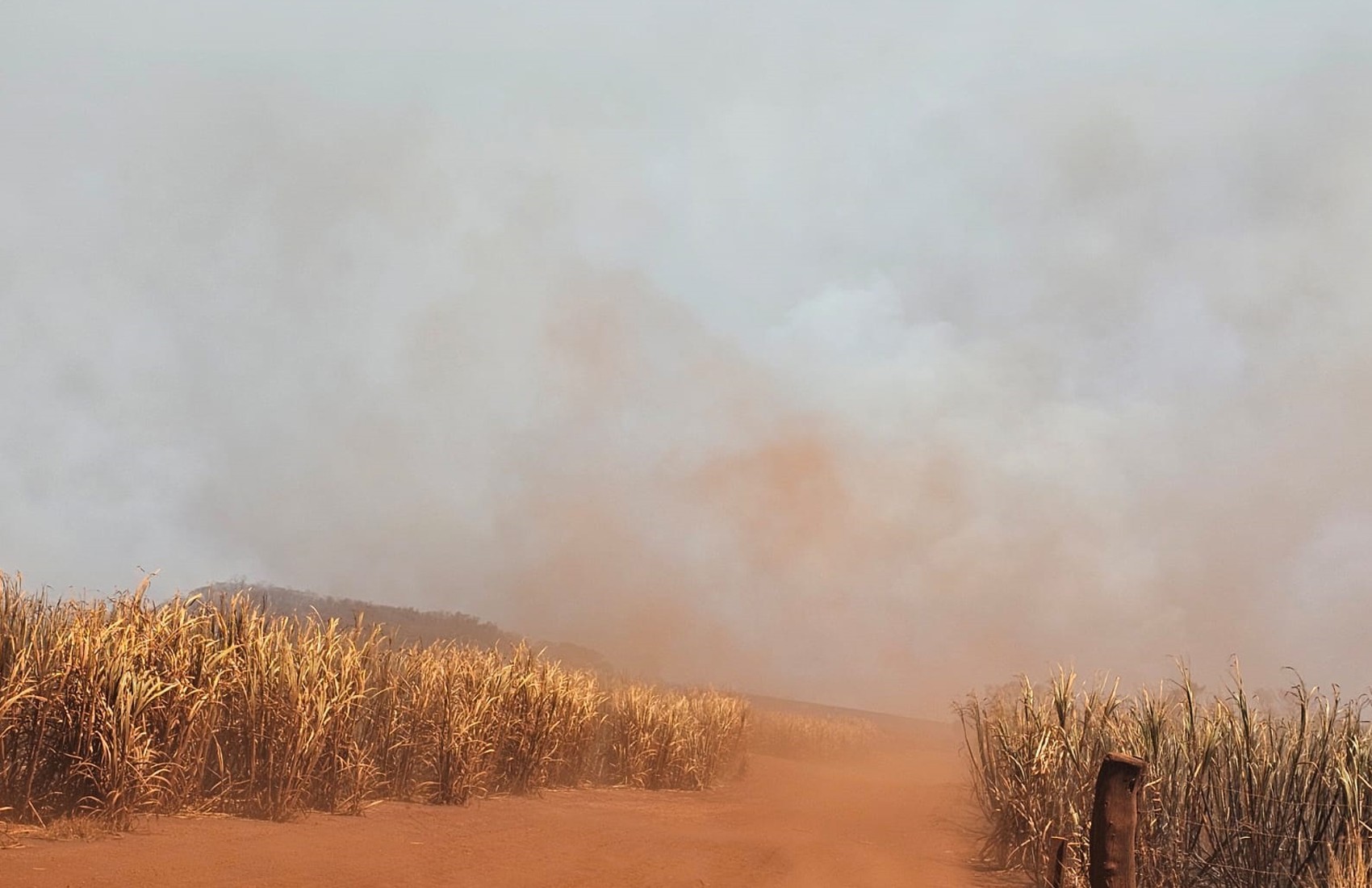 Homem é preso por suspeita de causar incêndio em canavial em Sales Oliveira, SP