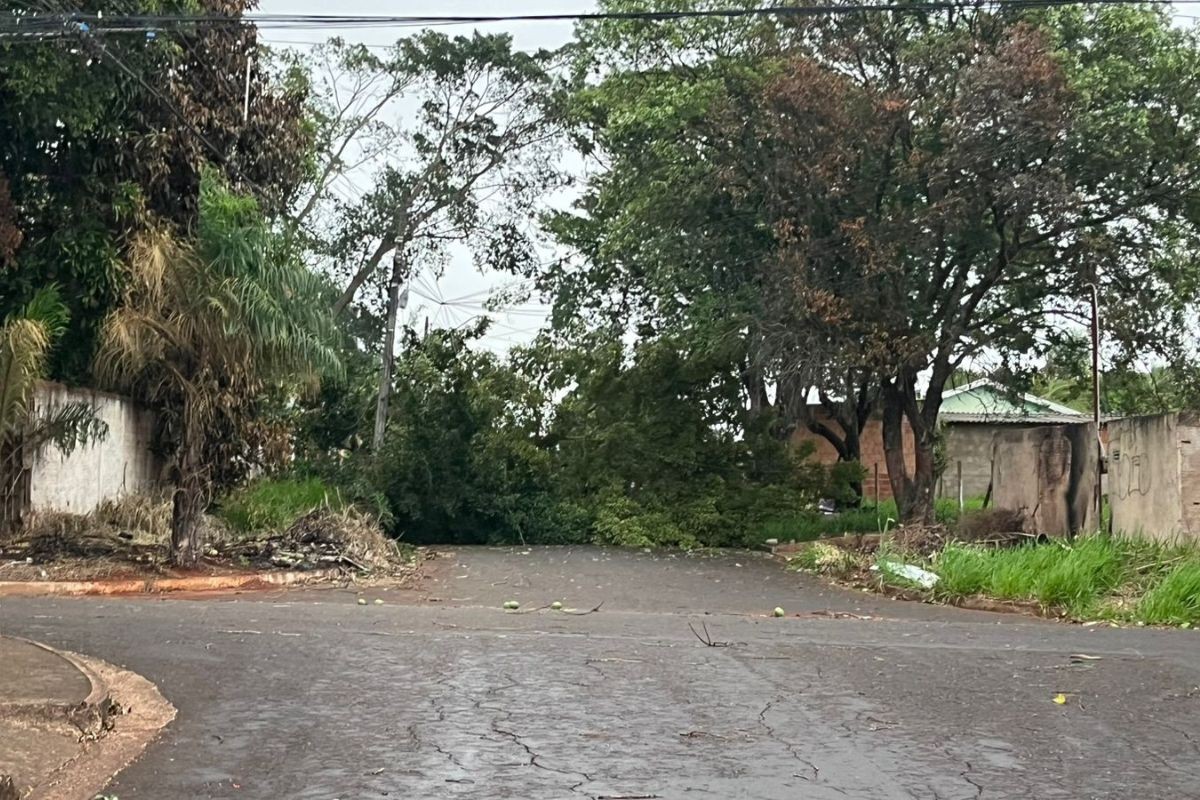 VÍDEO: temporal faz dia virar noite e deixa Campo Grande em alerta