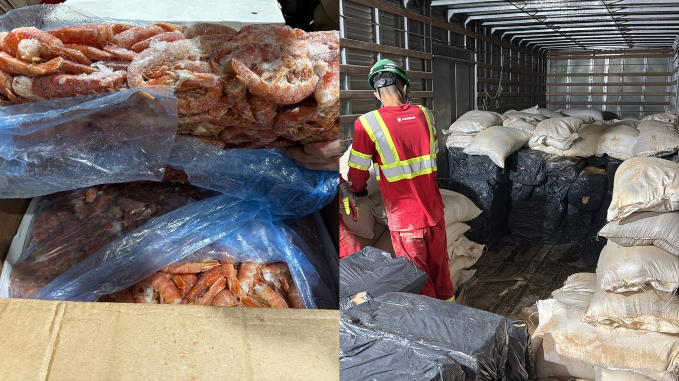 Motorista é preso com R$ 780 mil em camarão contrabandeado escondido em casca de arroz em SC 